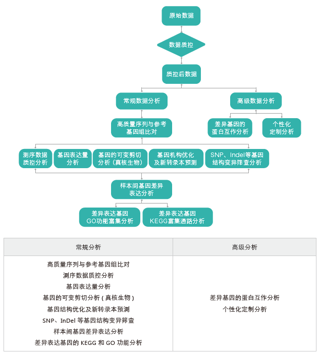 转录组测序-生信分析流程（有参）-万象城AWC基因
