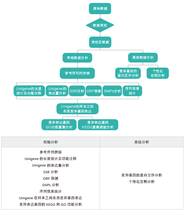 转录组测序-生信分析流程（无参）-万象城AWC基因