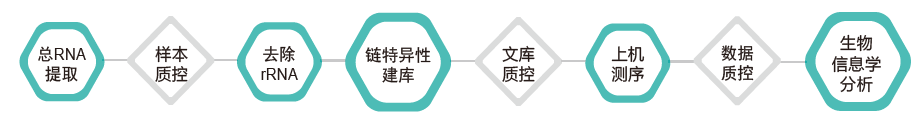 长链非编码RNA（lncRNA）测序-技术路线-万象城AWC基因