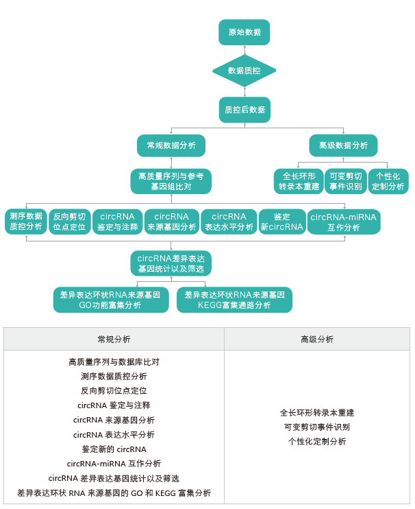 环状RNA（circRNA）测序-生信分析流程-万象城AWC基因